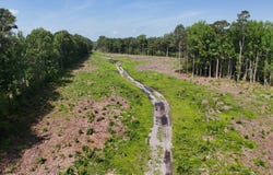 0 Luther Brown Road, Colerain, NC 27924