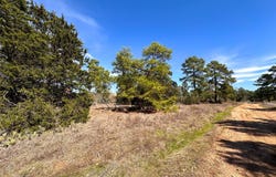Lot 3 Winding Pine DR, Bastrop, TX 78602
