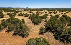 8770 Supancheck Road, Show Low, AZ 85901