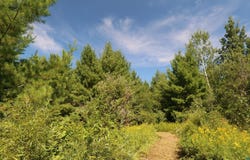 30210 Wannebo Rd, Washburn, WI 54891