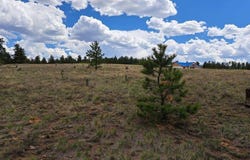 104 CHAP WAY, Hartsel, CO 80449
