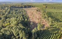 0 Fruit Hill Road, Saluda, SC 29138-0000