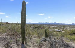520 E Eden Place, Oro Valley, AZ 85704