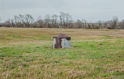 0 County Road 260, Bloomfield, MO 63825