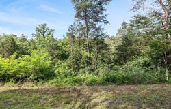 Lot 20 HAMPSTEAD COURT, MAURERTOWN, VA 22644