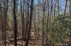0 Sunshine Acres Drive, Sylva, NC 28779