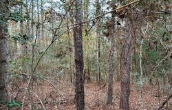 00 Hwy 26, Wiggins, MS 39577