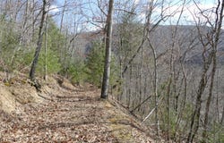 0 Upper Back Creek Road, Monterey, VA 24465