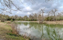 7519 Silvermine Rd, Harwood, TX 78632