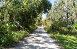 NE 358TH AVE, OLD TOWN, FL 32680