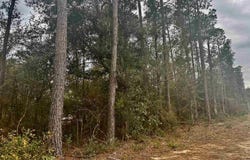 Blountstown Highway, Leon, FL 32310