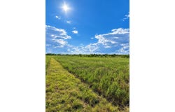441 County Rd 2418, Hillsboro, TX 76645