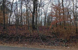 00 Highway 18, Medon, TN 38356