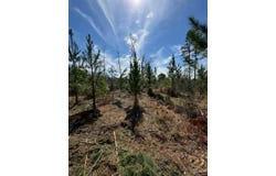 Bright Prospect Rd, Marianna, FL 32448