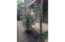 206 RIVER RUN Drive, Atlanta, GA 30350