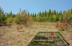 Lot 3 W Pendills Lake Road, Brimley, MI 49715