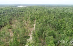 Camp 23 Road, Germfask, MI 49836