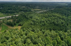 9999 KY 1653 Quillen Chapel Road, Campton, KY 41301