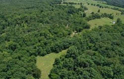 361  Nutt Hill Rd, Climax Springs, MO 65324