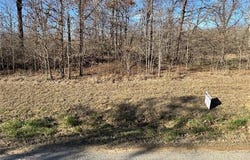 10010 Celia Berryhill Road, Okmulgee, OK 74447