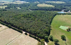 10 Acres Madison 2035, Huntsville, AR 72740
