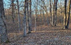 Wenzel Place, Edwards, MO 65326