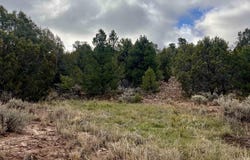 2114 County Road 318, Ignacio, CO 81137