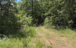 780-01045-000 Saint Clair  TR, Pyatt, AR 72672