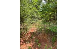 0 Conecuh St, Greenville, AL 36037