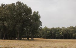 4222 Old Medina Road, Medina, TN 38355