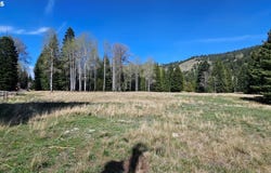 Granger Rd., Lostine, OR 97857
