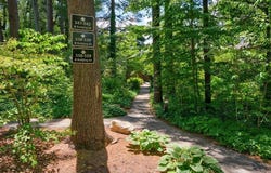 559 Great Elm Way, Acton, MA 01718