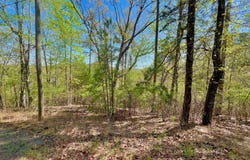 691 Railey Ridge, Ranger, GA 30734
