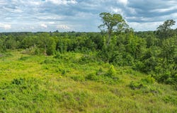 TBD 376 E County Road, Henderson, TX 75652