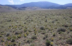Highway 38 lot: 64, Eagle Nest, NM 87718-0000