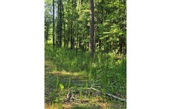 5 PUGH Road, Pike Road, AL 36052