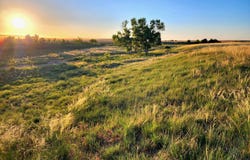 TBD County Road 59, Yuma, CO 80759