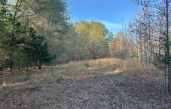 Tract A County Road 1412, Bogata, TX 75426