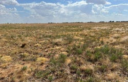 4111 County Road 5300, Abernathy, TX 79311