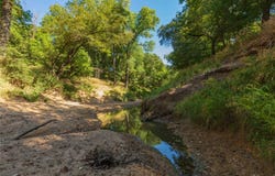 1282 CR 461, Gorman, TX 76454