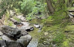 Bragg Hollow Road, Middletown, NY 12455