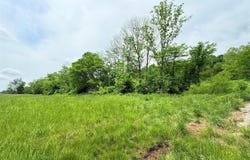 1581 Old Cedar Top School Road, Greensburg, KY 42743