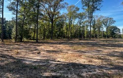 E Highway 198, Lucedale, MS 39452
