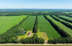 0 60th Avenue, Durand, WI 54736