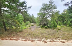 302 RAINBOW Drive, Florahome, FL 32140