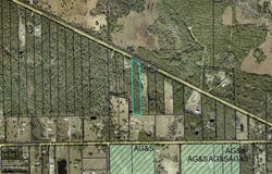 4297 W HIGHWAY 100, BUNNELL, FL 32110