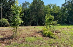 Mt Pleasant Road, Byhalia, MS 38611