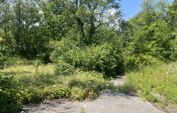 7240 Greene Street, Merrillville, IN 46410
