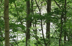 139-118 BOO BOO BOULEVARD, FALLING WATERS, WV 25419