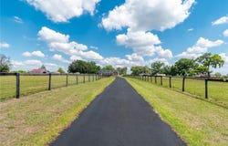 13025 NW GAINESVILLE ROAD, REDDICK, FL 32686